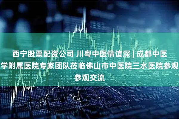 西宁股票配资公司 川粤中医情谊深 | 成都中医药大学附属医院专家团队莅临佛山市中医院三水医院参观交流