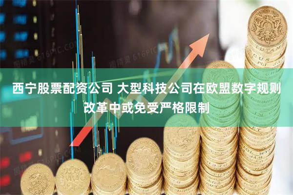 西宁股票配资公司 大型科技公司在欧盟数字规则改革中或免受严格限制