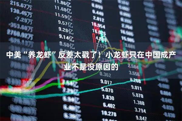 中美“养龙虾”反差太戳了！小龙虾只在中国成产业不是没原因的