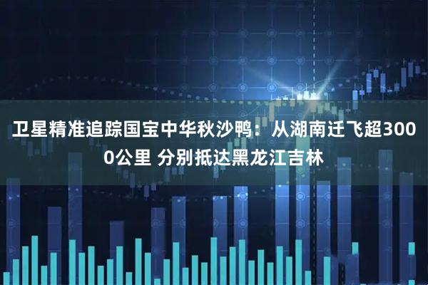 卫星精准追踪国宝中华秋沙鸭：从湖南迁飞超3000公里 分别抵达黑龙江吉林