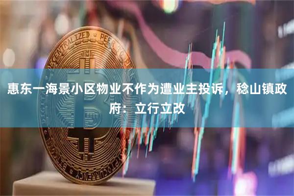 惠东一海景小区物业不作为遭业主投诉，稔山镇政府：立行立改
