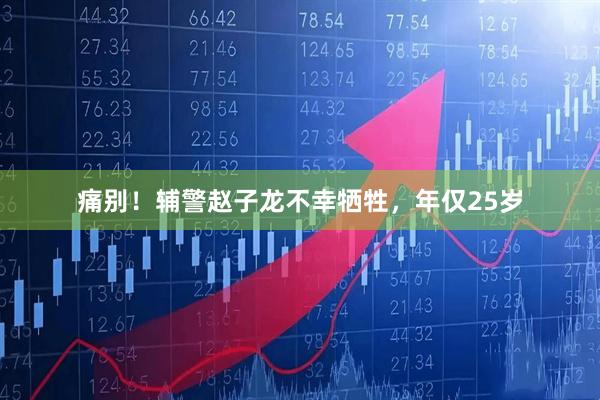 痛别！辅警赵子龙不幸牺牲，年仅25岁