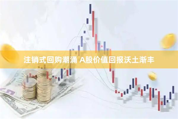 注销式回购潮涌 A股价值回报沃土渐丰