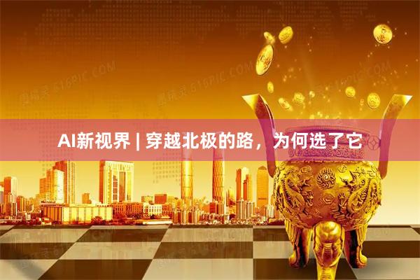 AI新视界 | 穿越北极的路，为何选了它