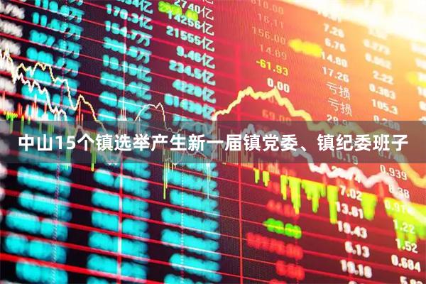 中山15个镇选举产生新一届镇党委、镇纪委班子