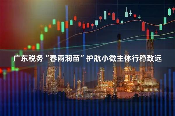 广东税务“春雨润苗”护航小微主体行稳致远
