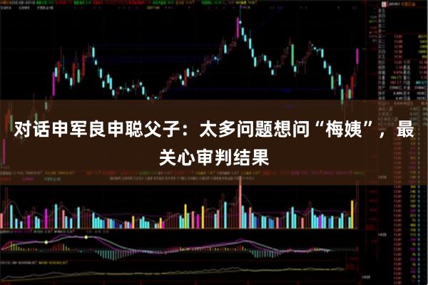 对话申军良申聪父子：太多问题想问“梅姨”，最关心审判结果